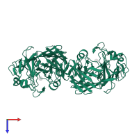 Aldose 1-epimerase in PDB entry 1ns0, assembly 1, top view.