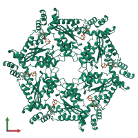 Homo hexameric assembly 1 of PDB entry 1nsf coloured by chemically distinct molecules, front view.