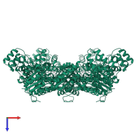 Vesicle-fusing ATPase in PDB entry 1nsf, assembly 1, top view.
