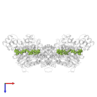 ADENOSINE-5'-TRIPHOSPHATE in PDB entry 1nsf, assembly 1, top view.