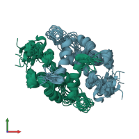 PDB entry 1nsh coloured by chain, ensemble of 19 models, front view.