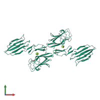 Homo dimeric assembly 1 of PDB entry 1nt0 coloured by chemically distinct molecules, front view.