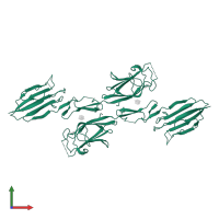 Mannan-binding lectin serine protease 2 A chain in PDB entry 1nt0, assembly 1, front view.