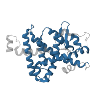 The deposited structure of PDB entry 1nuo contains 1 copy of Pfam domain PF00104 (Ligand-binding domain of nuclear hormone receptor) in Thyroid hormone receptor beta. Showing 1 copy in chain A.