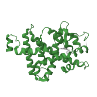 The deposited structure of PDB entry 1nuo contains 1 copy of SCOP domain 48509 (Nuclear receptor ligand-binding domain) in Thyroid hormone receptor beta. Showing 1 copy in chain A.