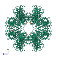 Homo dodecameric assembly 2 of PDB entry 1ny3 coloured by chemically distinct molecules, side view.