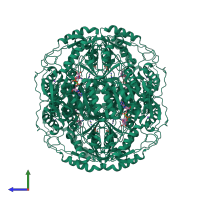 Homo tetrameric assembly 2 of PDB entry 1o01 coloured by chemically distinct molecules, side view.