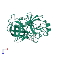 Serine protease 1 in PDB entry 1o3o, assembly 1, top view.