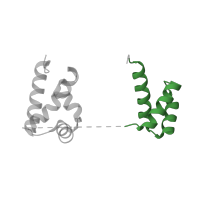 The deposited structure of PDB entry 1o4x contains 1 copy of Pfam domain PF00046 (Homeodomain) in POU domain, class 2, transcription factor 1. Showing 1 copy in chain C [auth A].