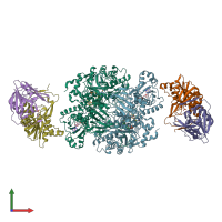 PDB entry 1o95 coloured by chain, front view.