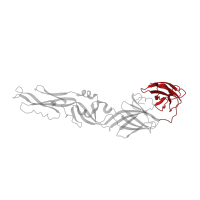 The deposited structure of PDB entry 1oan contains 2 copies of CATH domain 2.60.40.350 (Immunoglobulin-like) in Envelope protein E. Showing 1 copy in chain A.