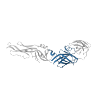 The deposited structure of PDB entry 1oan contains 2 copies of CATH domain 2.60.98.10 (Tick-borne Encephalitis virus Glycoprotein; domain 1) in Envelope protein E. Showing 1 copy in chain A.