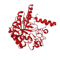 The deposited structure of PDB entry 1oc7 contains 1 copy of CATH domain 3.20.20.40 (TIM Barrel) in Exoglucanase-6A. Showing 1 copy in chain A.