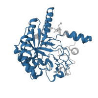 The deposited structure of PDB entry 1oc7 contains 1 copy of Pfam domain PF01341 (Glycosyl hydrolases family 6) in Exoglucanase-6A. Showing 1 copy in chain A.