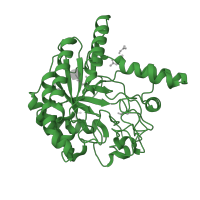 The deposited structure of PDB entry 1oc7 contains 1 copy of SCOP domain 51990 (Glycosyl hydrolases family 6, cellulases) in Exoglucanase-6A. Showing 1 copy in chain A.