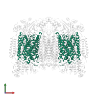 Cytochrome c oxidase subunit 1 in PDB entry 1ocr, assembly 1, front view.