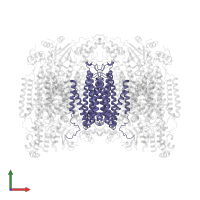 Cytochrome c oxidase subunit 3 in PDB entry 1ocr, assembly 1, front view.