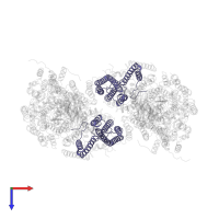 Cytochrome c oxidase subunit 3 in PDB entry 1ocr, assembly 1, top view.