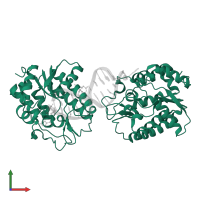 Single-strand selective monofunctional uracil DNA glycosylase in PDB entry 1oe6, assembly 1, front view.