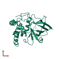 T-cell ecto-ADP-ribosyltransferase 2 in PDB entry 1og4, assembly 1, front view.