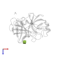 2-acetamido-2-deoxy-beta-D-glucopyranose in PDB entry 1op2, assembly 1, top view.