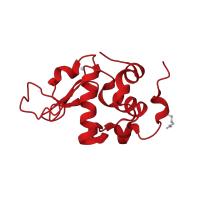 The deposited structure of PDB entry 1oqm contains 2 copies of CATH domain 1.10.530.10 (Lysozyme) in Alpha-lactalbumin. Showing 1 copy in chain A.
