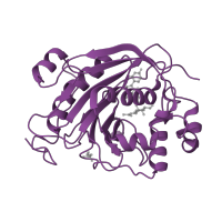 The deposited structure of PDB entry 1oqm contains 2 copies of CATH domain 3.90.550.10 (Spore Coat Polysaccharide Biosynthesis Protein SpsA; Chain A) in Beta-1,4-galactosyltransferase 1. Showing 1 copy in chain B.