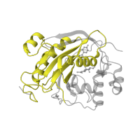 The deposited structure of PDB entry 1oqm contains 2 copies of Pfam domain PF13733 (N-terminal region of glycosyl transferase group 7) in Beta-1,4-galactosyltransferase 1. Showing 1 copy in chain B.