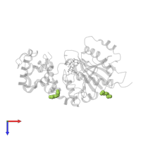TETRAETHYLENE GLYCOL in PDB entry 1oqm, assembly 1, top view.