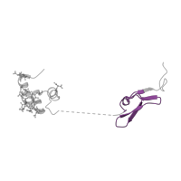 The deposited structure of PDB entry 1p0s contains 1 copy of Pfam domain PF14670 (Coagulation Factor Xa inhibitory site) in Factor X light chain. Showing 1 copy in chain A [auth L].