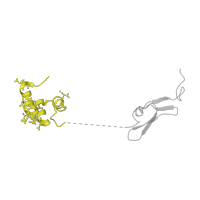 The deposited structure of PDB entry 1p0s contains 1 copy of SCOP domain 57631 (GLA-domain) in Factor X light chain. Showing 1 copy in chain A [auth L].