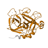 The deposited structure of PDB entry 1p0s contains 1 copy of Pfam domain PF00089 (Trypsin) in Activated factor Xa heavy chain. Showing 1 copy in chain B [auth H].