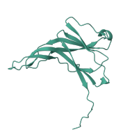 The deposited structure of PDB entry 1p0s contains 1 copy of CATH domain 2.60.40.550 (Immunoglobulin-like) in Ecotin. Showing 1 copy in chain C [auth E].