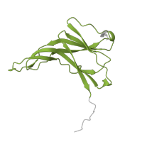 The deposited structure of PDB entry 1p0s contains 1 copy of Pfam domain PF03974 (Ecotin) in Ecotin. Showing 1 copy in chain C [auth E].