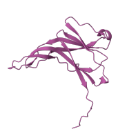 The deposited structure of PDB entry 1p0s contains 1 copy of SCOP domain 49773 (Ecotin, trypsin inhibitor) in Ecotin. Showing 1 copy in chain C [auth E].