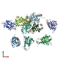 PDB entry 1p0z coloured by chain, front view.