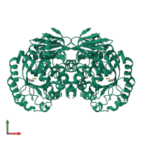 Homo dimeric assembly 2 of PDB entry 1p1m coloured by chemically distinct molecules, front view.