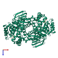 Homo dimeric assembly 2 of PDB entry 1p1m coloured by chemically distinct molecules, top view.