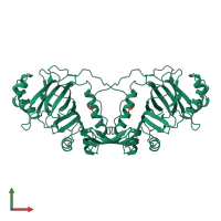 Homo dimeric assembly 2 of PDB entry 1p35 coloured by chemically distinct molecules, front view.