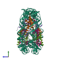 Hetero decameric assembly 1 of PDB entry 1p3f coloured by chemically distinct molecules, side view.