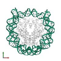 Palindromic 146bp Human Alpha-Satellite DNA fragment in PDB entry 1p3f, assembly 1, front view.