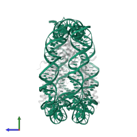 Palindromic 146bp Human Alpha-Satellite DNA fragment in PDB entry 1p3f, assembly 1, side view.