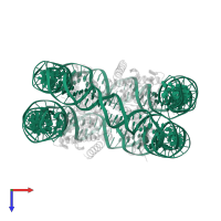 Palindromic 146bp Human Alpha-Satellite DNA fragment in PDB entry 1p3f, assembly 1, top view.