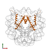 Histone H3.2 in PDB entry 1p3f, assembly 1, front view.