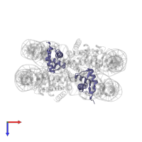 Histone H4 in PDB entry 1p3f, assembly 1, top view.