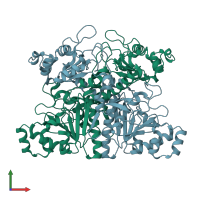 PDB entry 1p5h coloured by chain, front view.