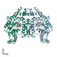 PDB entry 1p6h coloured by chain, front view.