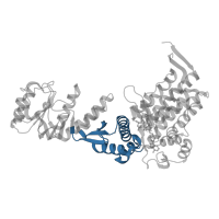 The deposited structure of PDB entry 1pcq contains 14 copies of CATH domain 3.30.260.10 (GROEL; domain 2) in Chaperonin GroEL. Showing 1 copy in chain A.