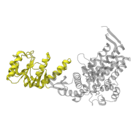 The deposited structure of PDB entry 1pcq contains 14 copies of SCOP domain 52030 (GroEL-like chaperone, apical domain) in Chaperonin GroEL. Showing 1 copy in chain A.