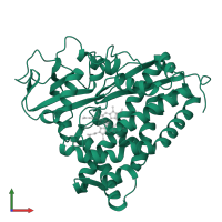Camphor 5-monooxygenase in PDB entry 1phc, assembly 1, front view.